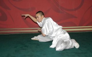 非物质文化遗产蛇拳（蛇拳入门基本功动作教学）