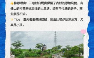 三水非物质文化遗产名录（三水非遗有哪些？新手一眼看懂全名录）