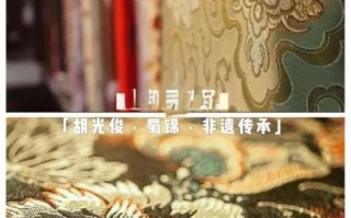 中国非物质文化遗产织锦（中国非遗织锦技艺入门指南）