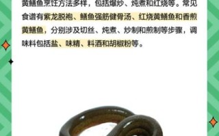 黄鳝非物质文化遗产（黄鳝制作技艺是国家级非遗吗？答：属于湖北省级非遗，正申报国家级。）