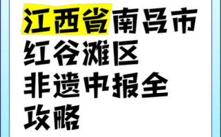 南昌非物质文化遗产网站