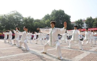 太极非物质文化遗产（太极申遗成功是哪一年）