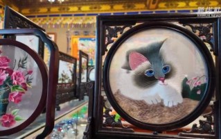 黄南州的非物质文化遗产（黄南州有哪些国家级非遗项目新手必看）