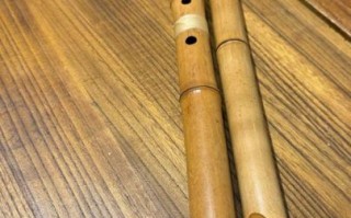 非物质文化遗产器乐（初学者如何上手非遗器乐）