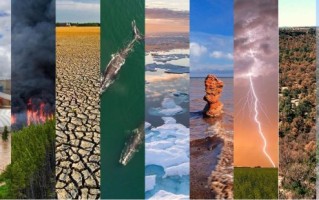 历史上全球气候变迁（全球气候变迁对人类的真实冲击有哪些）