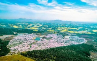 郎溪县历史气候变迁（郎溪县百年气候变化全纪录）