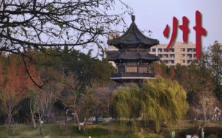 泰州非物质文化遗产市级（泰州非遗市级名录有哪些）