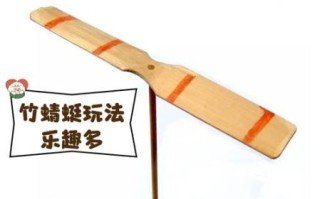 竹蜻蜓非物质文化遗产（竹蜻蜓非遗传承人制作技艺）