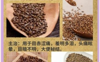 非物质文化遗产明目（明目非遗有哪些民间护眼偏方）