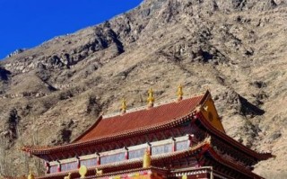 黄庙香油非物质文化遗产（黄庙香油非遗技艺在哪里可以买到）