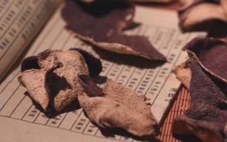 非物质文化遗产 炮制（传统中药炮制技艺为何入选非遗）