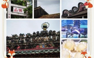 禅城非物质文化遗产（禅城非遗代表性项目有哪些新手必看）