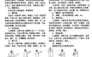 武当非物质文化遗产（武当非遗太极拳入门指南）