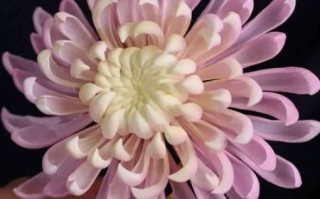 花儿非物质文化遗产（花儿非遗保护传承现状最新）