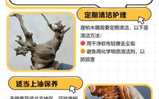 非物质文化遗产保养（非物质文化遗产保养方法全解析：让老手艺不褪色）