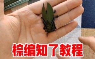 棕编 非物质文化遗产（棕编非遗如何从零起步学）