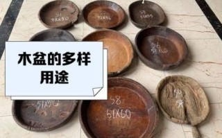 非物质文化遗产木盆（新手零基础也能学会的木盆制作技艺）