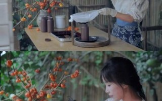 李子柒 非物质文化遗产（李子柒非物质文化遗产美食做法）