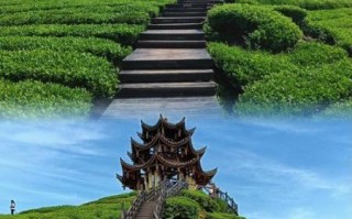 宣恩的非物质文化遗产是（宣恩非物质文化遗产有哪些？新手也能看懂的完整盘点）