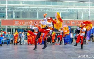 宋河非物质文化遗产（宋河非物质文化遗产怎么学？从零开始的实践指南）