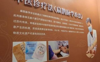 医术非物质文化遗产（医术非物质文化遗产有哪些值得入门了解）