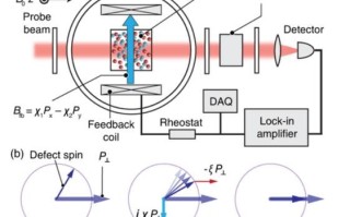 终极形态量子计算技术有哪些（终极量子计算形态有哪些技术路线）