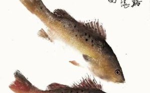 象山鱼拓非物质文化遗产（象山鱼拓怎么做？初学者完整教程）