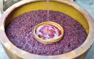 酒场非物质文化遗产（酒场非物质文化遗产酿造技艺入门）