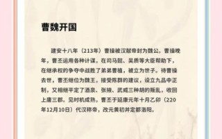 曹魏非物质文化遗产（曹魏非遗有哪些项目值得新手一看）