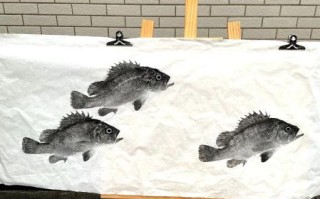 非物质文化遗产鱼画图片（非物质文化遗产鱼画图片教程）