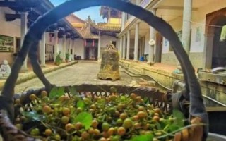 湖北仙游非物质文化遗产（湖北仙游非物质文化遗产有哪些）