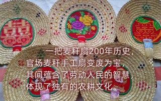 非物质文化遗产麦秆编制（麦秆编制非遗怎么入门最靠谱）