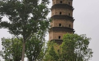 卫辉市的非物质文化遗产（卫辉市非物质文化遗产有哪些）