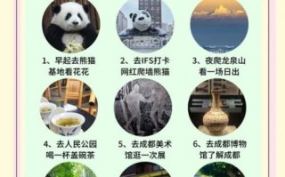 成都非物质文化遗产保护（成都非物质文化遗产保护新手怎么学）