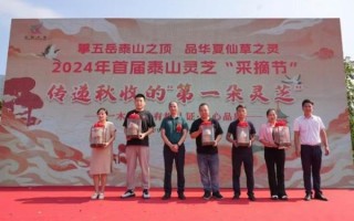 泰山四宝非物质文化遗产（泰山四宝非遗是什么值得收藏吗）