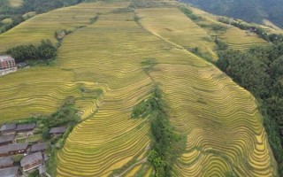 梯田非物质文化遗产（梯田非物质文化遗产有哪些项目）