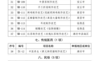 典型非物质文化遗产（国家级非遗名录怎么查完整版？）