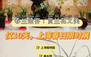 非物质文化遗产兰文化（兰文化与非遗的传承方式）