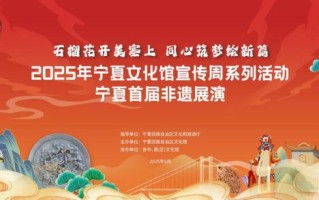 宁夏非物质文化遗产片头（宁夏非遗片头怎么做新手教程）