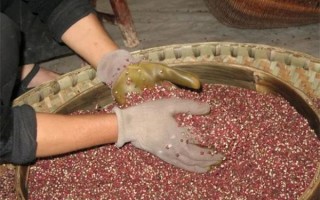 花椒非物质文化遗产（花椒制作技艺非遗在哪里）