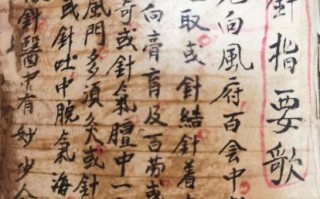 针灸 非物质文化遗产（针灸非遗传承新手入门教程）