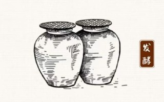 酒曲非物质文化遗产（酒曲传承技艺非遗名录排名方法）