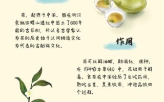茶与非物质文化遗产含义（茶与非遗是什么意思？）