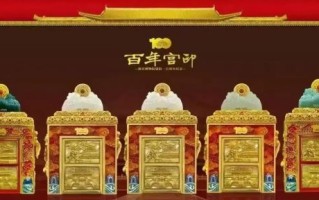 天玺秀和非物质文化遗产（天玺秀和非遗名录是什么）