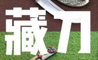 藏刀非物质文化遗产（藏刀非物质文化遗产技艺在哪几个省）