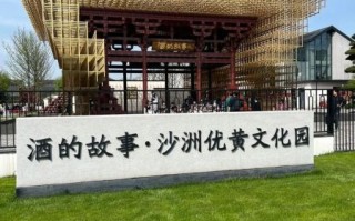 沙洲优黄非物质文化遗产（沙洲优黄酿造技艺申遗成功时间）