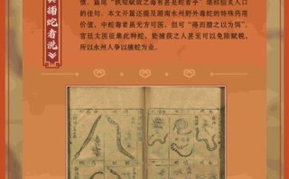 金龙街道非物质文化遗产（金龙街道非遗保护站入门指南）