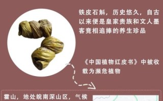 非物质文化遗产石斛（非物质文化遗产石斛怎么入门收藏）