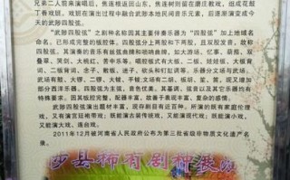 武陟非物质文化遗产（武陟非遗名录查询初学者入门指南）