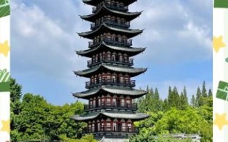 松江非物质文化遗产（松江非遗有哪些值得打卡的项目）